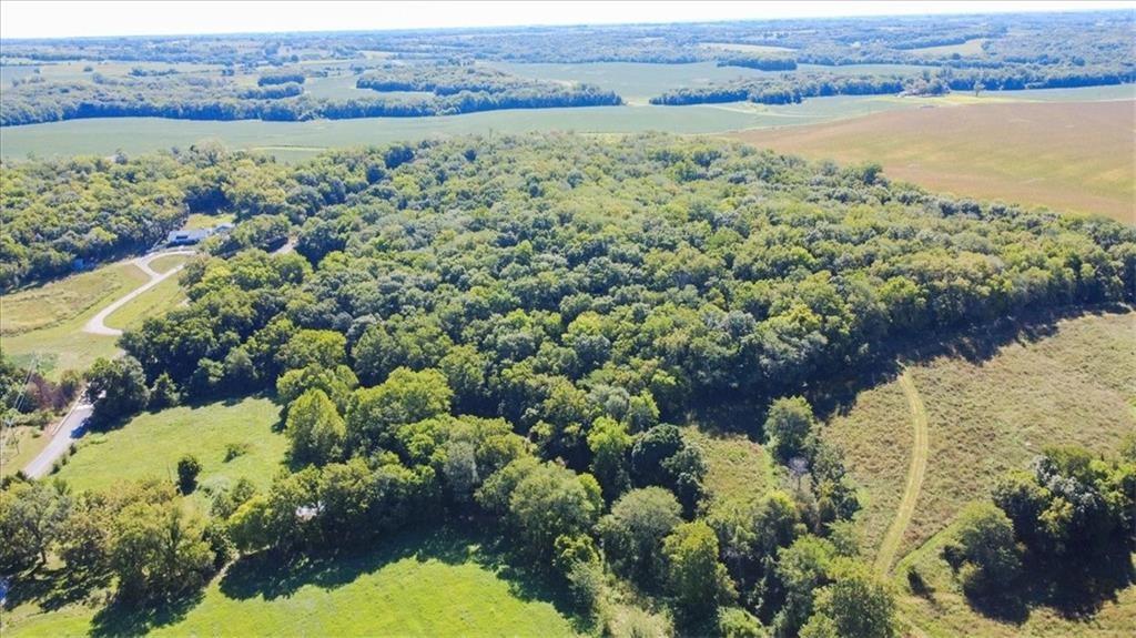 30105 Salem Road Weston, MO 64098 - Photo 9 of 15