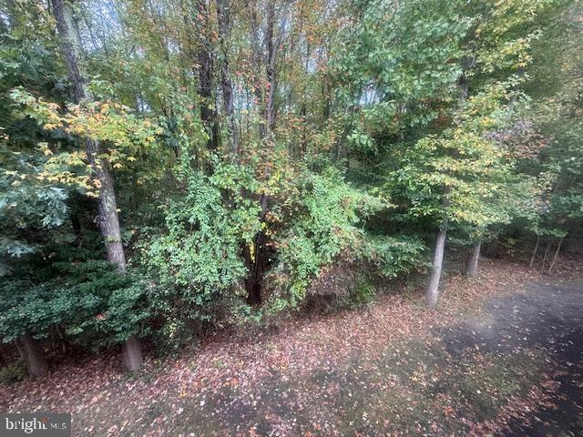 404 Quail Road Marlton, NJ 08053 - Photo 29 of 40 Gallery Image 29