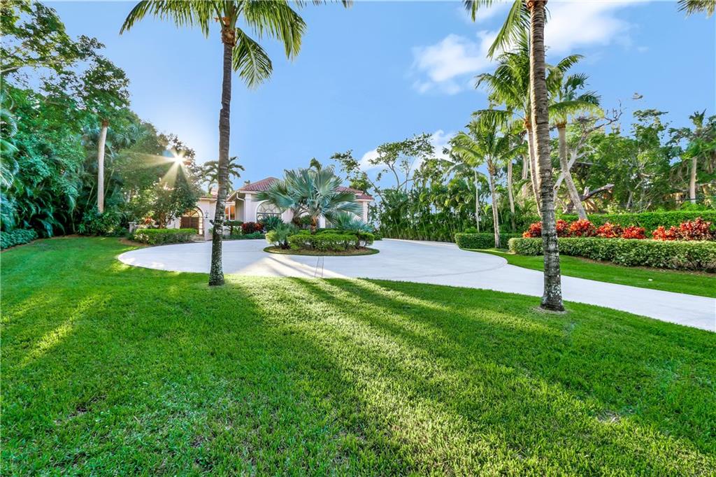 171 South River Road Stuart, FL 34996 - Photo 21 of 68 a view of a garden with a tree