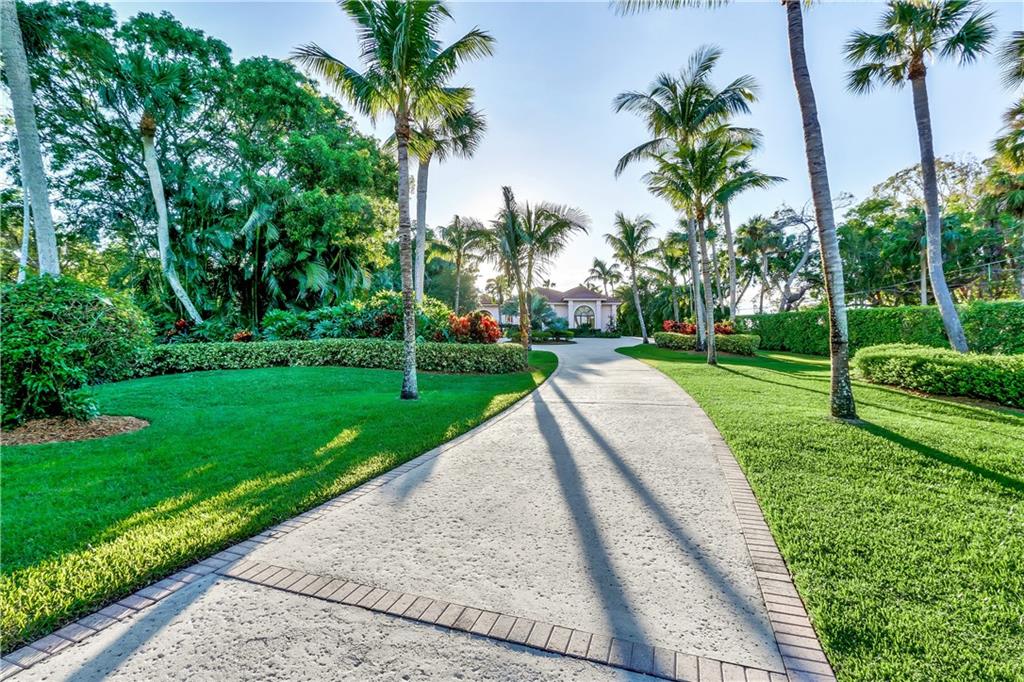 171 South River Road Stuart, FL 34996 - Photo 22 of 68 a view of a park with palm trees