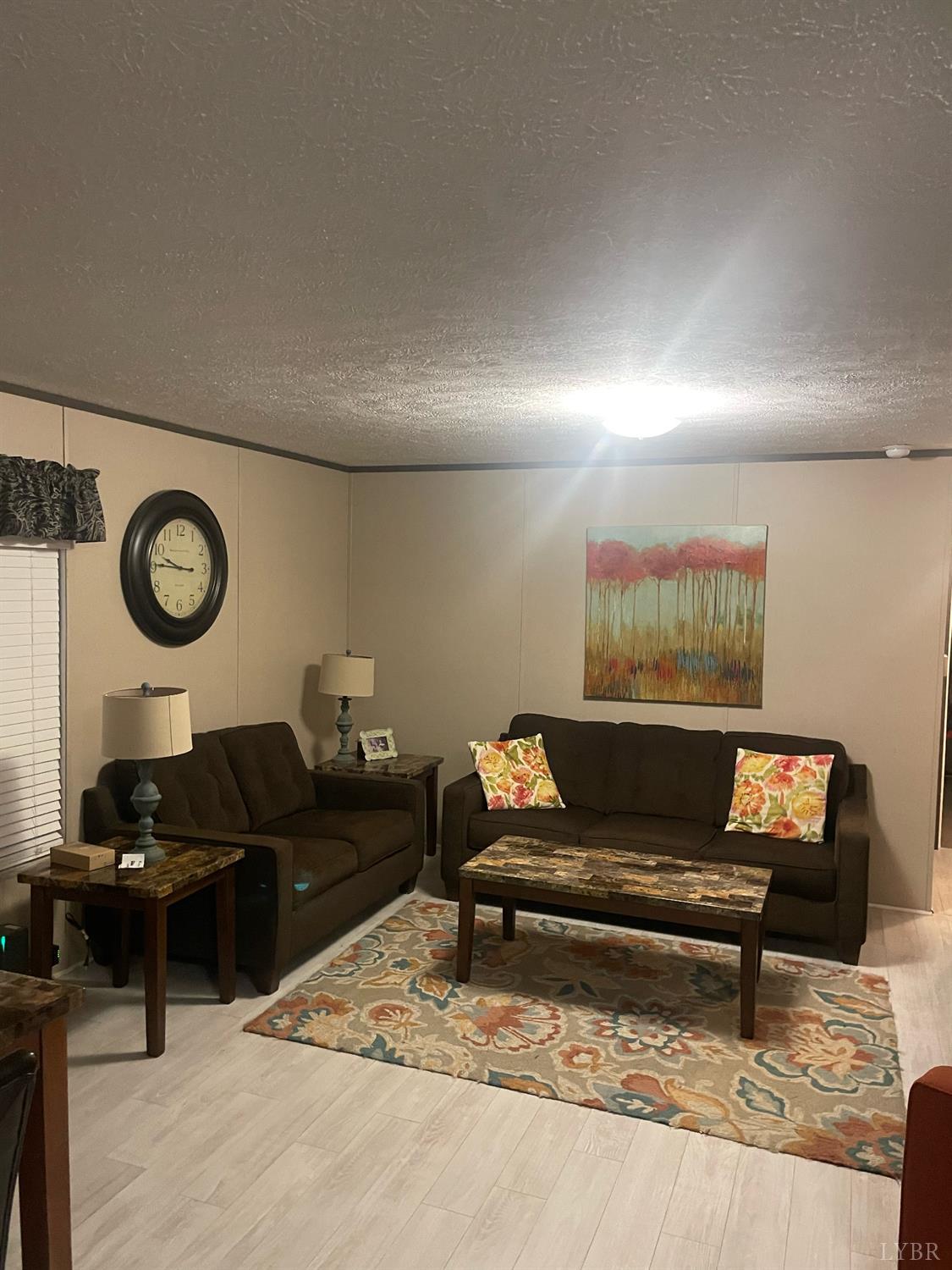 801 Purdum Mill Road Appomattox, VA 24522 - Photo 38 of 68 a living room with furniture and a couch