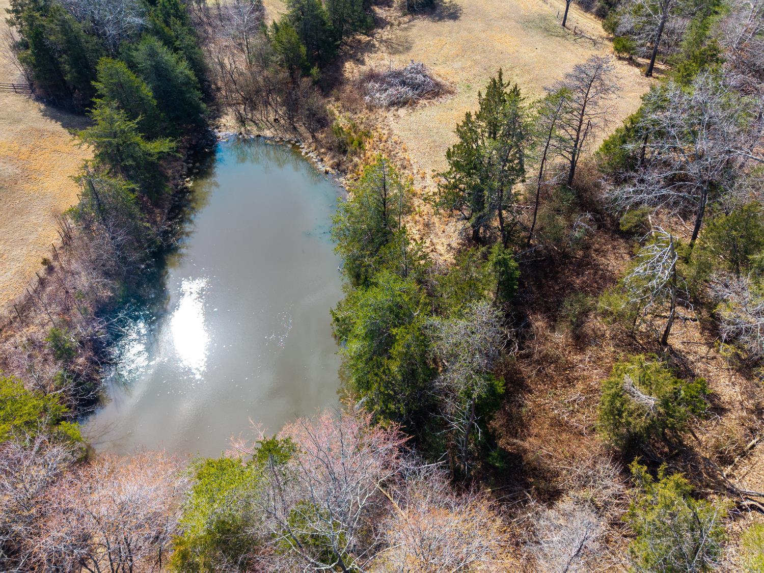 801 Purdum Mill Road Appomattox, VA 24522 - Photo 61 of 68 a view of a yard next to a house