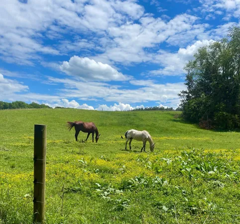 $589,900 | 801 Purdum Mill Road, Appomattox, VA 24522