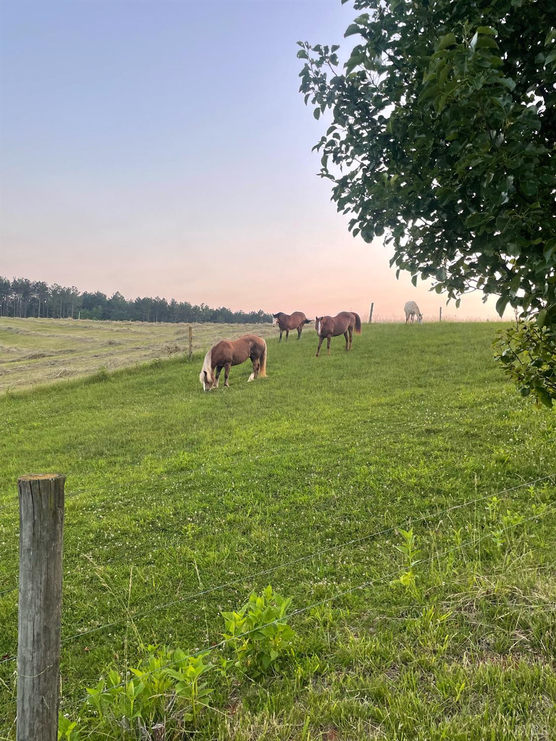 801 Purdum Mill Road Appomattox, VA 24522 - Photo 67 of 68 a view of a lake with houses in the back