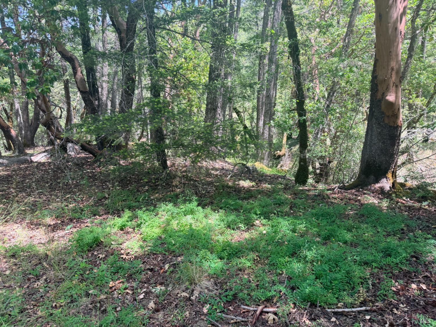 0 Registered Guest Road Laytonville, CA 95454 - Photo 14 of 18