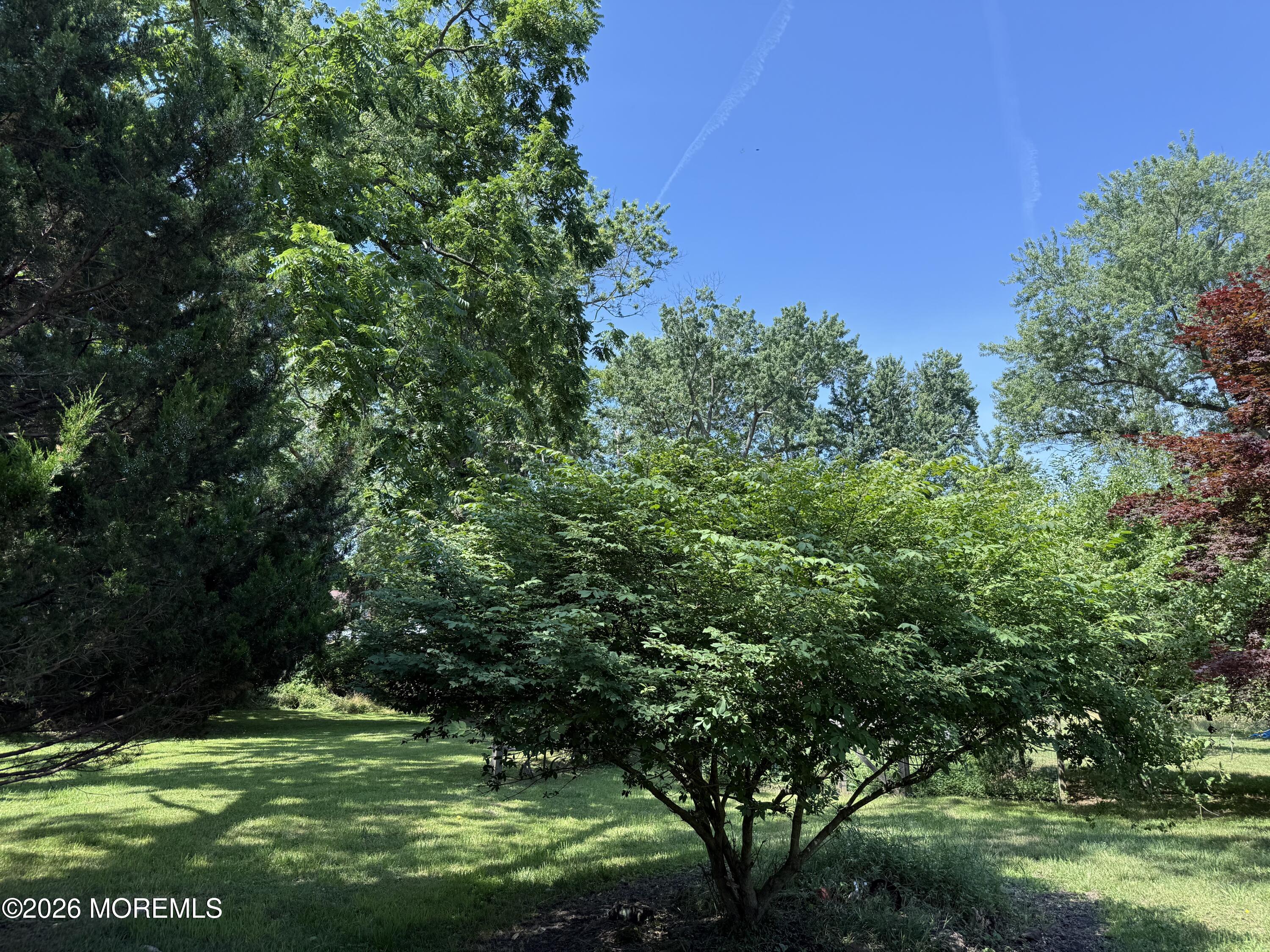 729 Wayside Road Neptune Township, NJ 07753 - Photo 12 of 13 IMG_5212