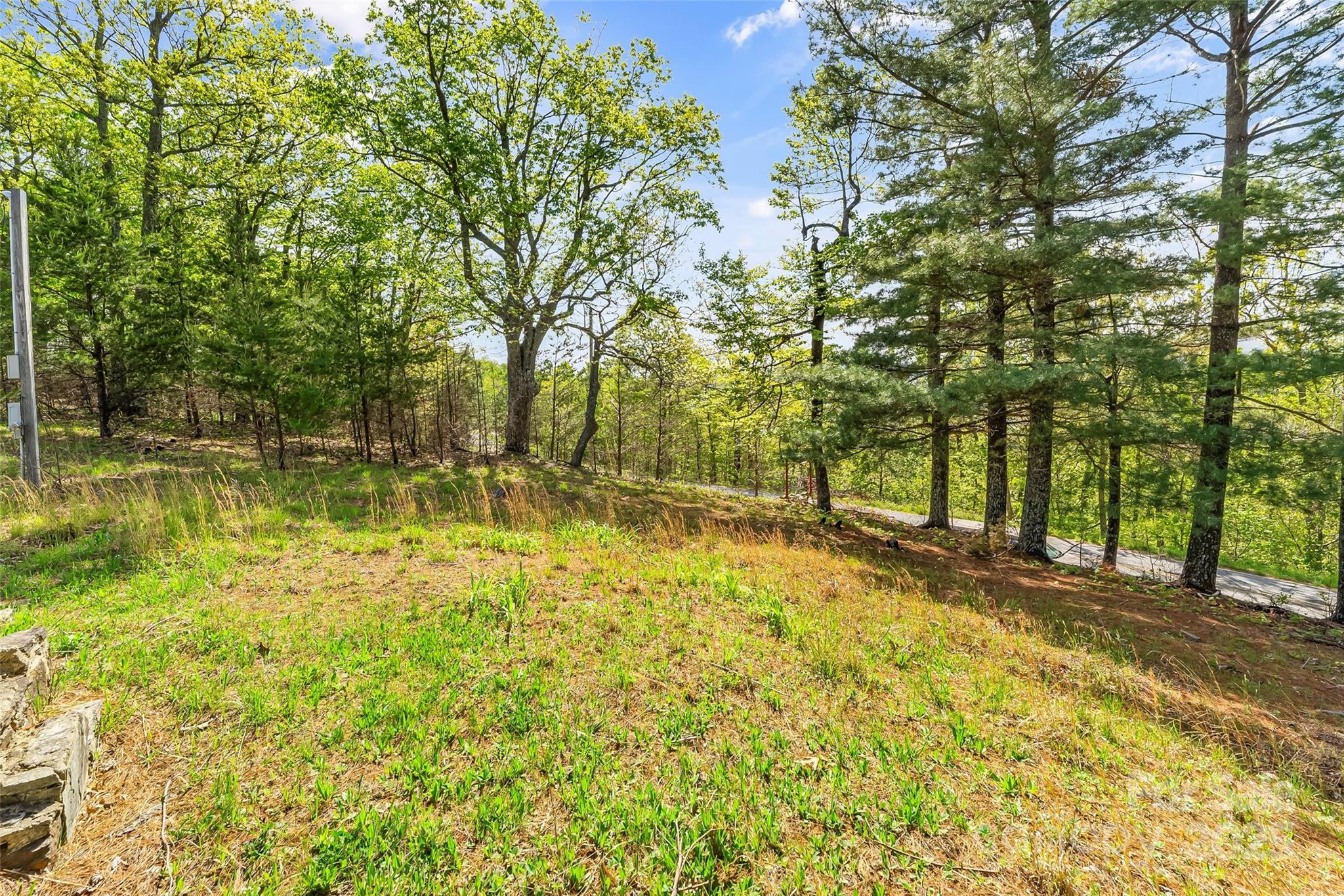 0 Burkemont Road Morganton, NC 28655 - Photo 11 of 15 a view of yard with trees