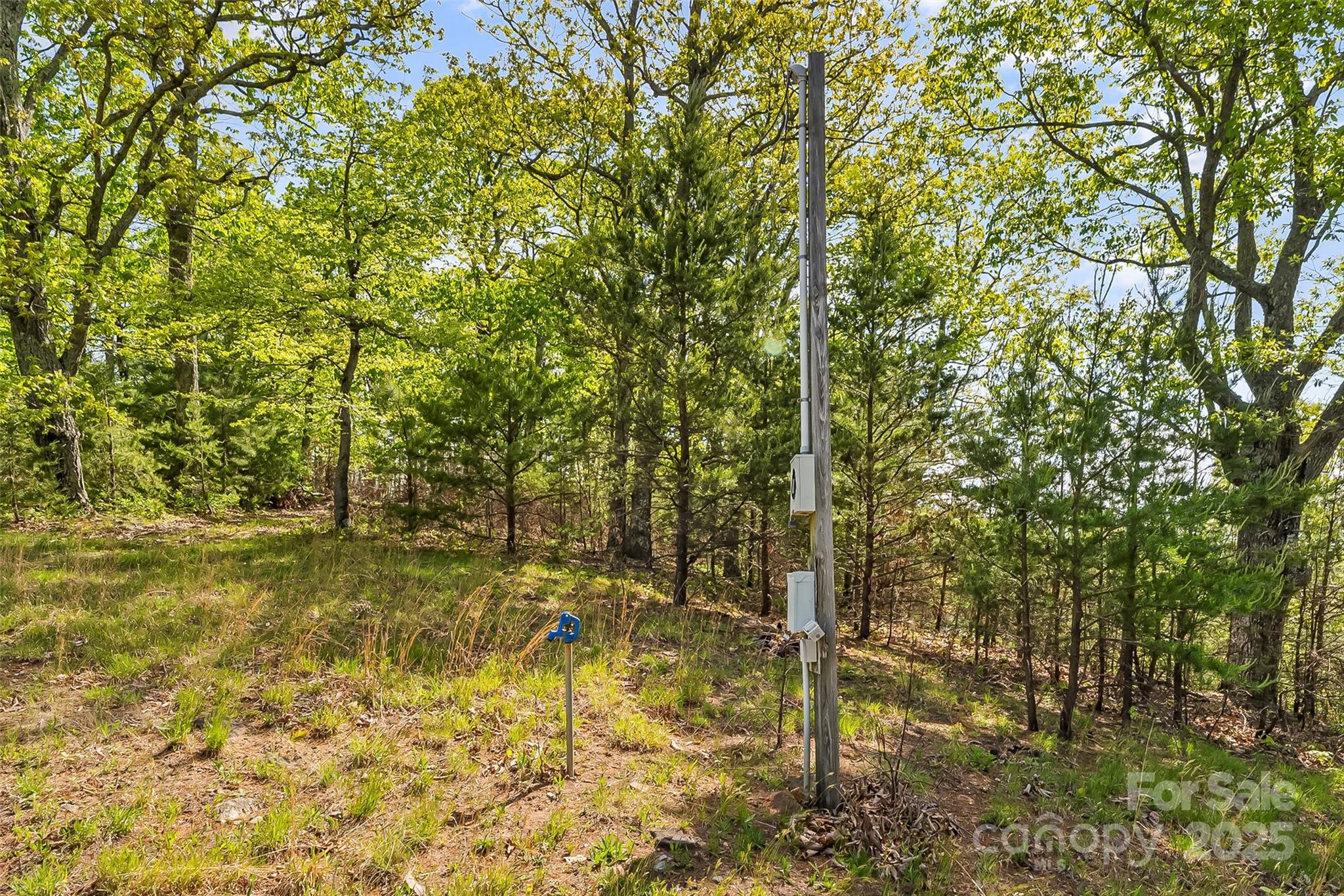0 Burkemont Road Morganton, NC 28655 - Photo 12 of 15 a view of a pathway both side of yard