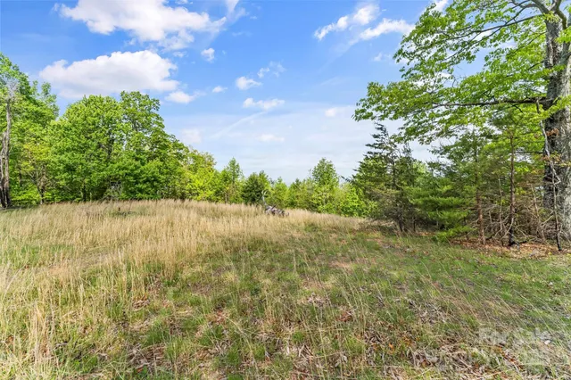 a view of backyard with green space
