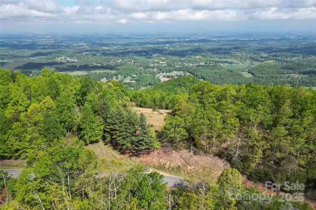 a view of a lush green forest with lots of trees
