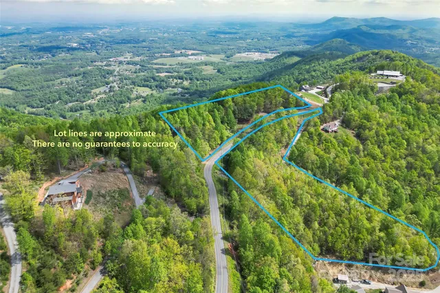 a view of a yard with plants and trees