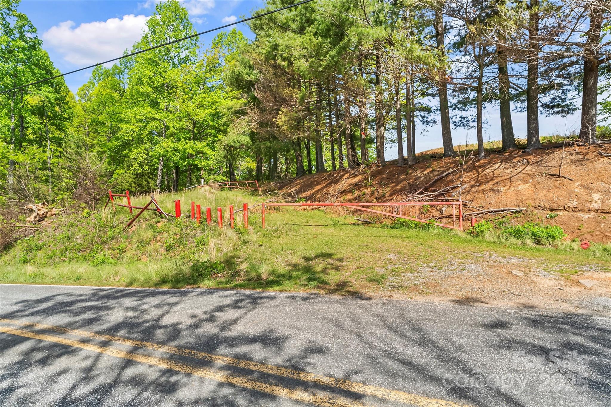 0 Burkemont Road Morganton, NC 28655 - Photo 5 of 15 a view of a yard with plants and trees