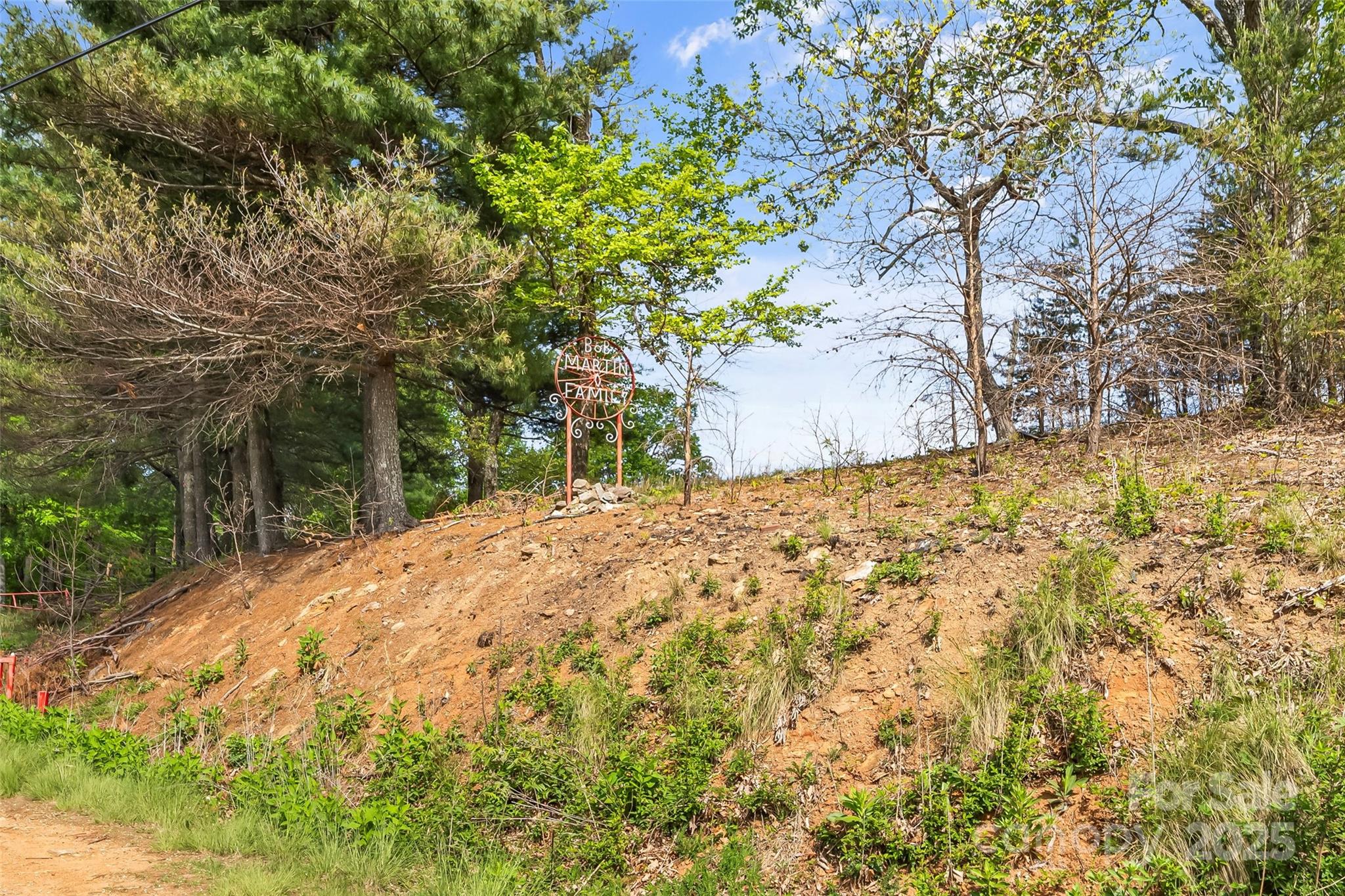 0 Burkemont Road Morganton, NC 28655 - Photo 6 of 15 a view of backyard and trees