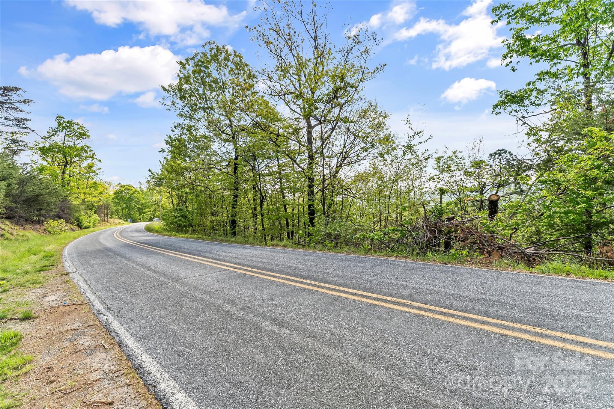 0 Burkemont Road Morganton, NC 28655 - Photo 7 of 15 a view of a garden with a tree