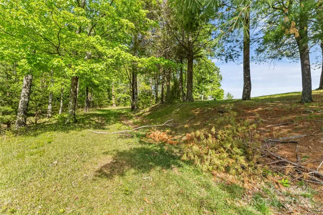 a view of a field with trees