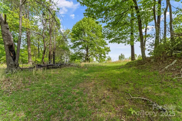 a view of yard with trees