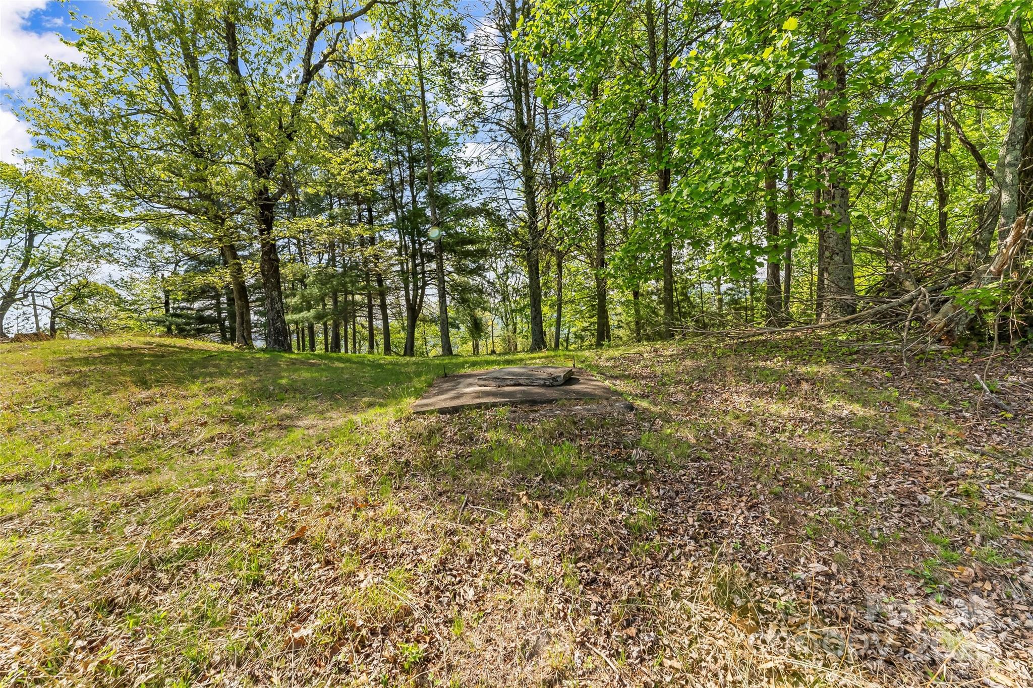 0 Burkemont Road Morganton, NC 28655 - Photo 10 of 15 a view of a field with trees