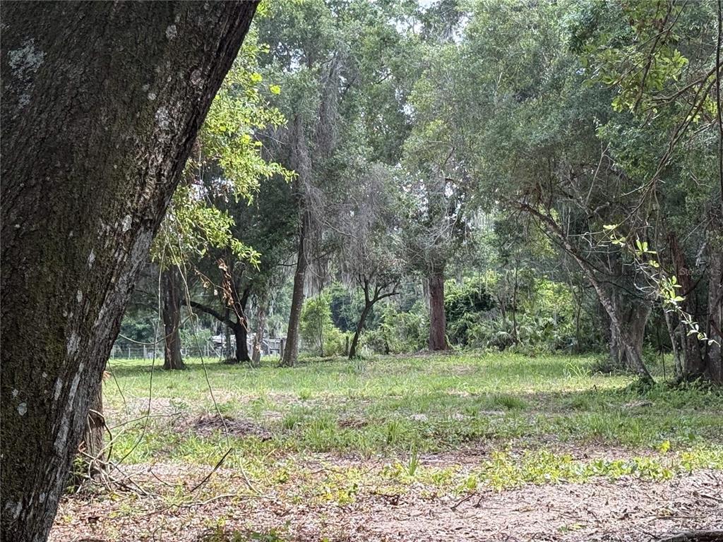 620 Cochran Road Geneva, FL 32732 - Photo 8 of 11