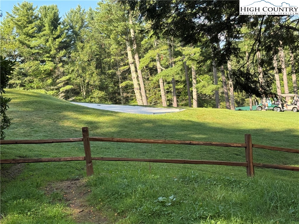 203 Black Pine Road Newland, NC 28657 - Photo 17 of 39 a view of a park with large trees