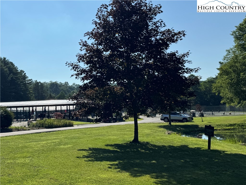 203 Black Pine Road Newland, NC 28657 - Photo 19 of 39 a view of a park with large trees