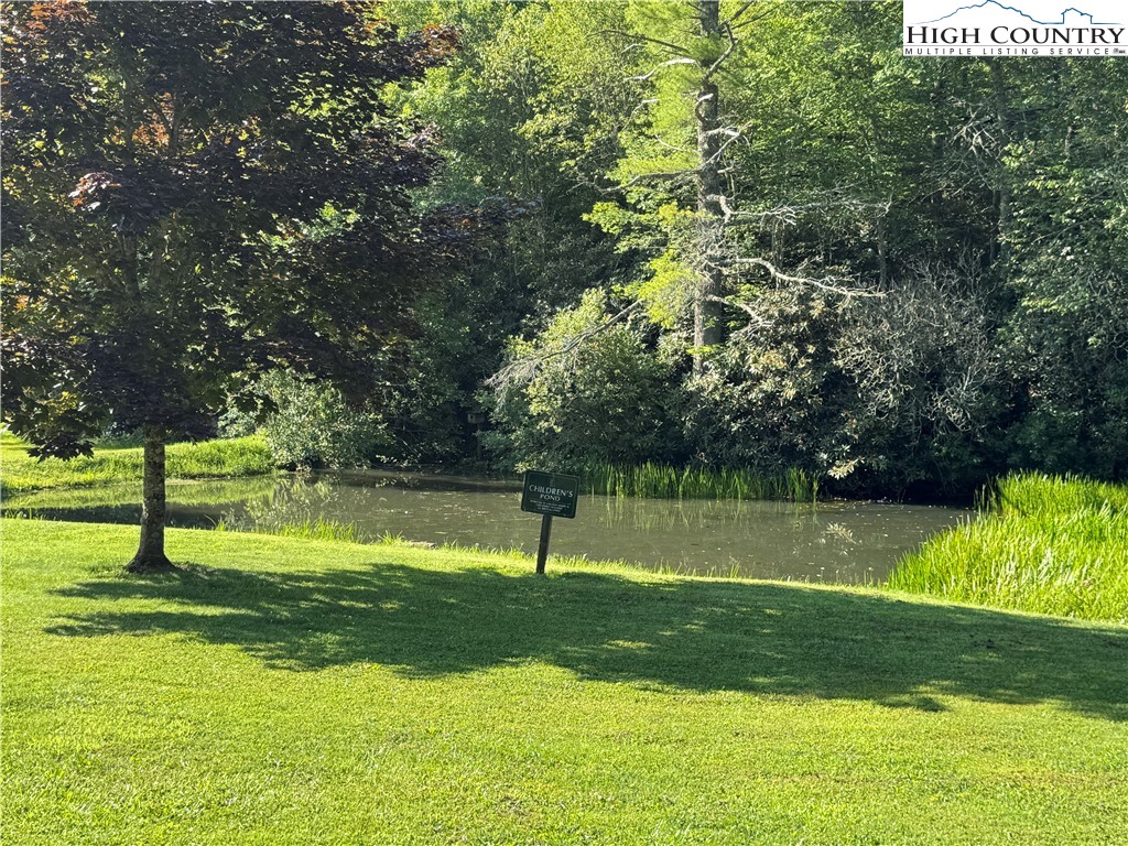 203 Black Pine Road Newland, NC 28657 - Photo 20 of 39 a view of a park with large trees