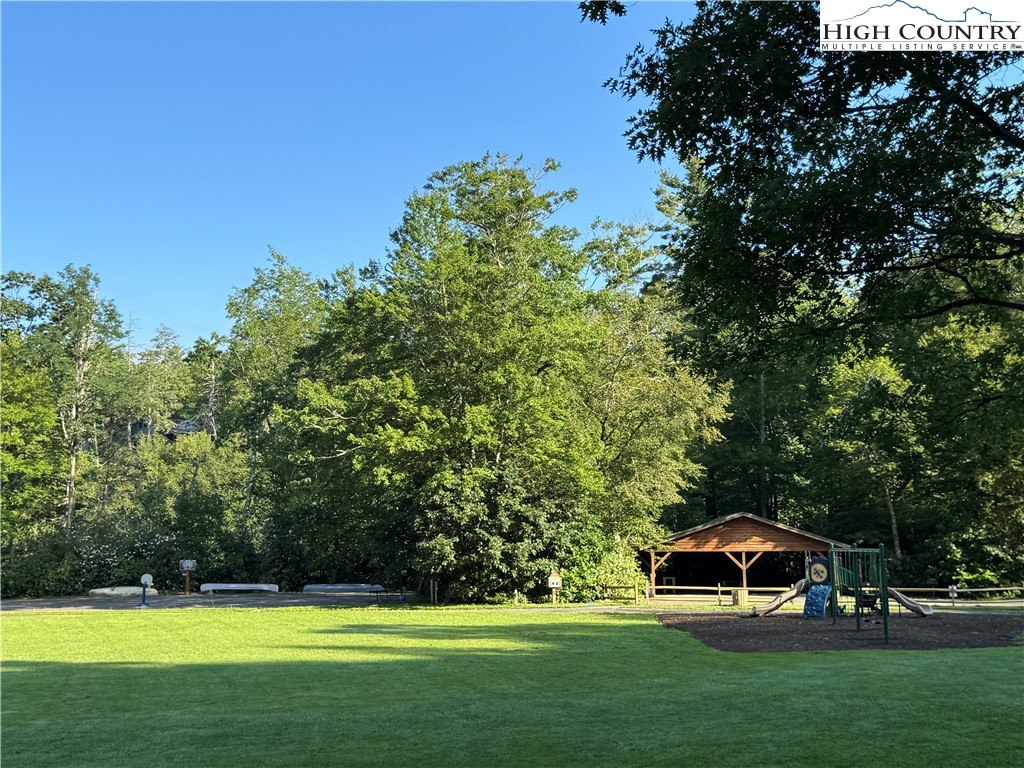 203 Black Pine Road Newland, NC 28657 - Photo 28 of 39 a view of outdoor space with garden and trees