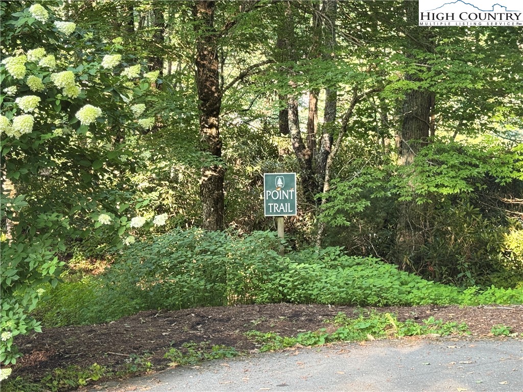 203 Black Pine Road Newland, NC 28657 - Photo 30 of 39 a pathway of a yard