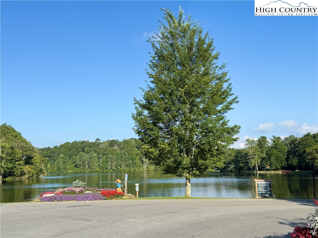 203 Black Pine Road Newland, NC 28657 - Photo 38 of 39 a backyard of a house with a lake view