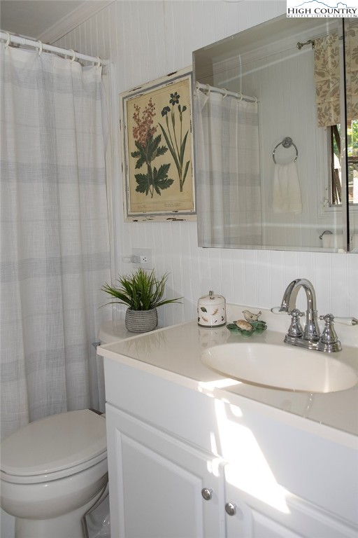 203 Black Pine Road Newland, NC 28657 - Photo 8 of 39 a bathroom with a sink a toilet and a shower curtain