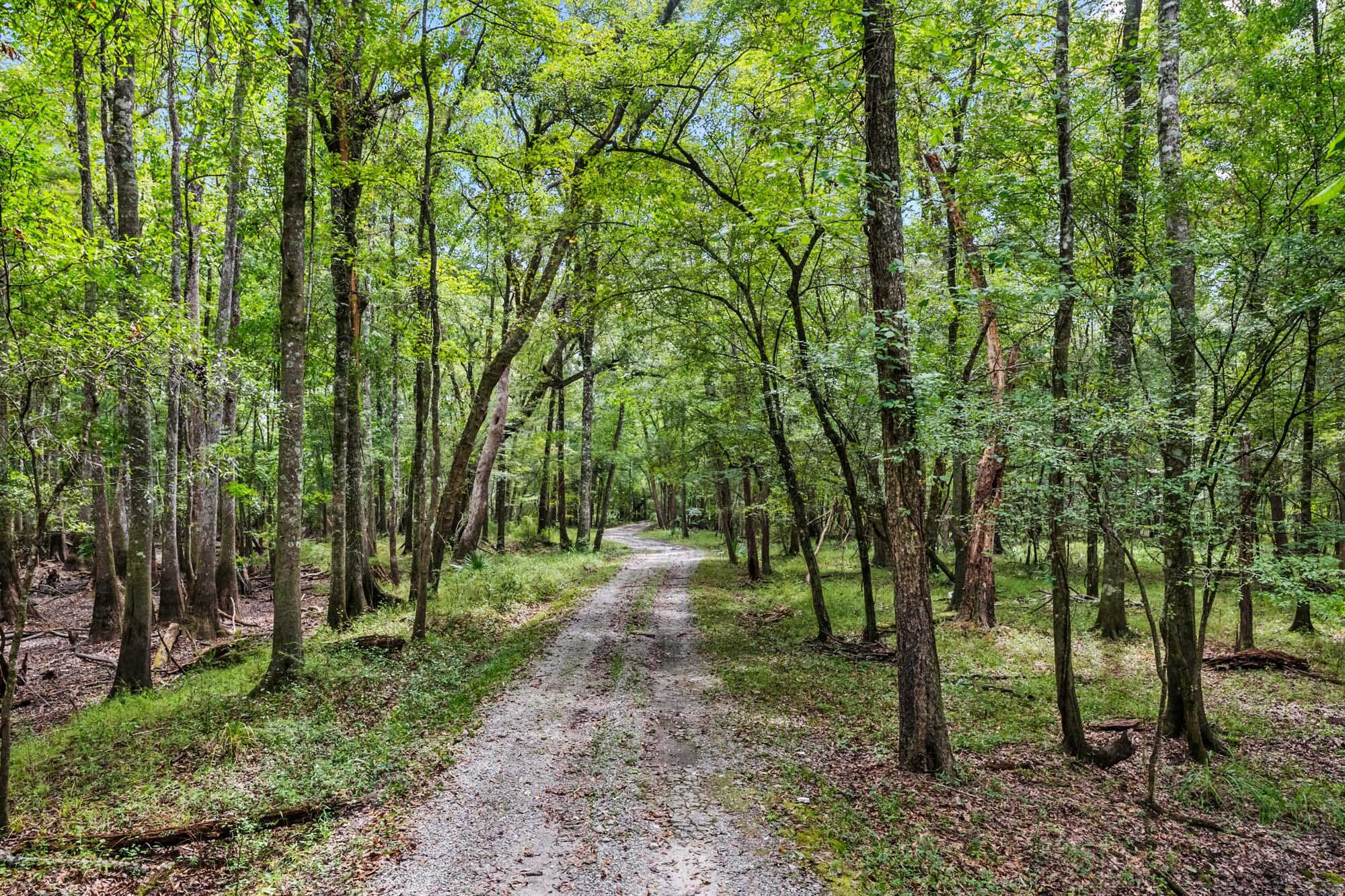 7884 Peirce Road Ridgeville, SC 29472 - Photo 74 of 84 HFL_EDISTO RIVER 80+ ACRES-70