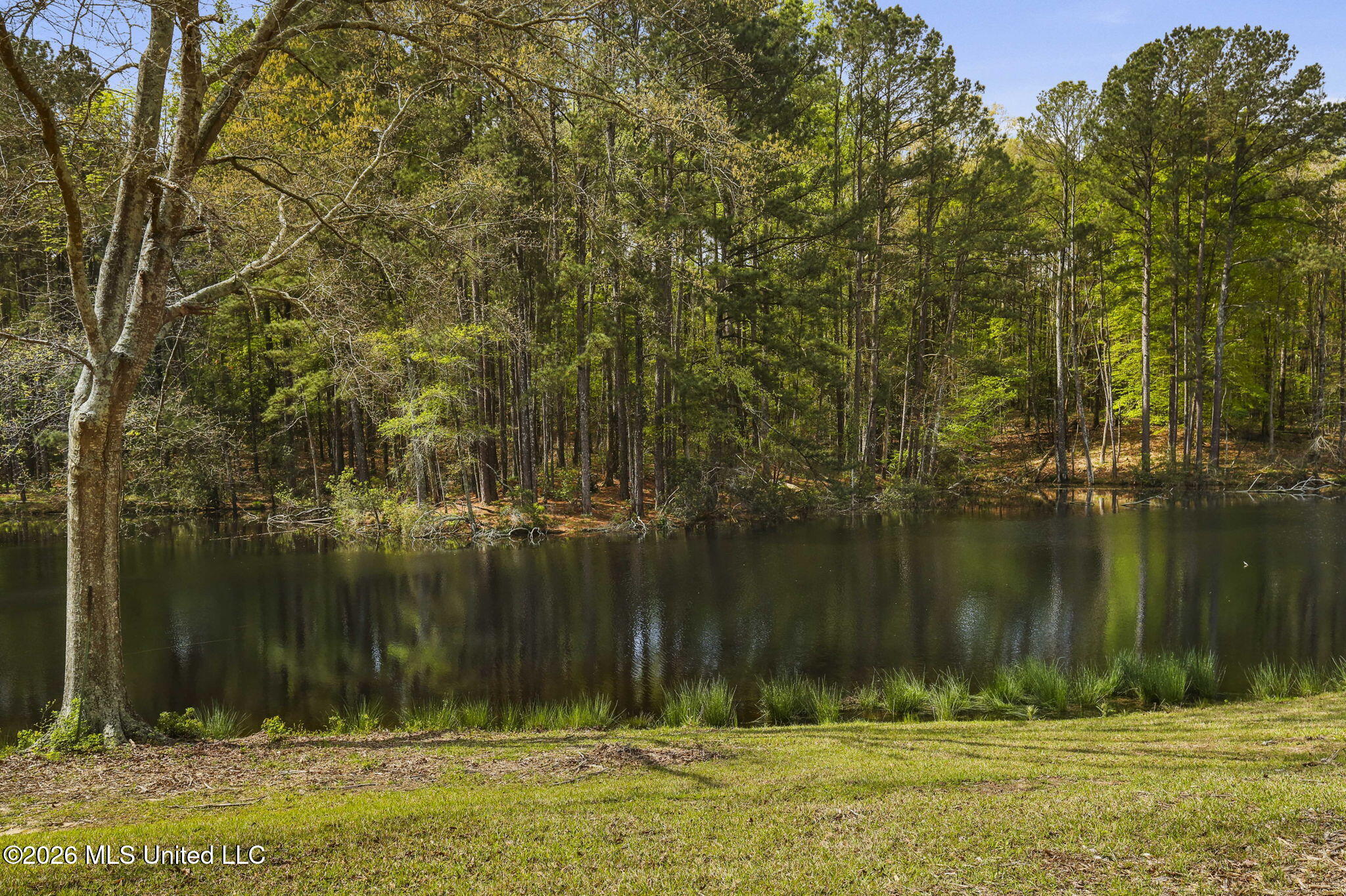 3079 Shiloh Road Pelahatchie, MS 39145 - Photo 8 of 81 8-web-or-mls-3079 Shiloh-8