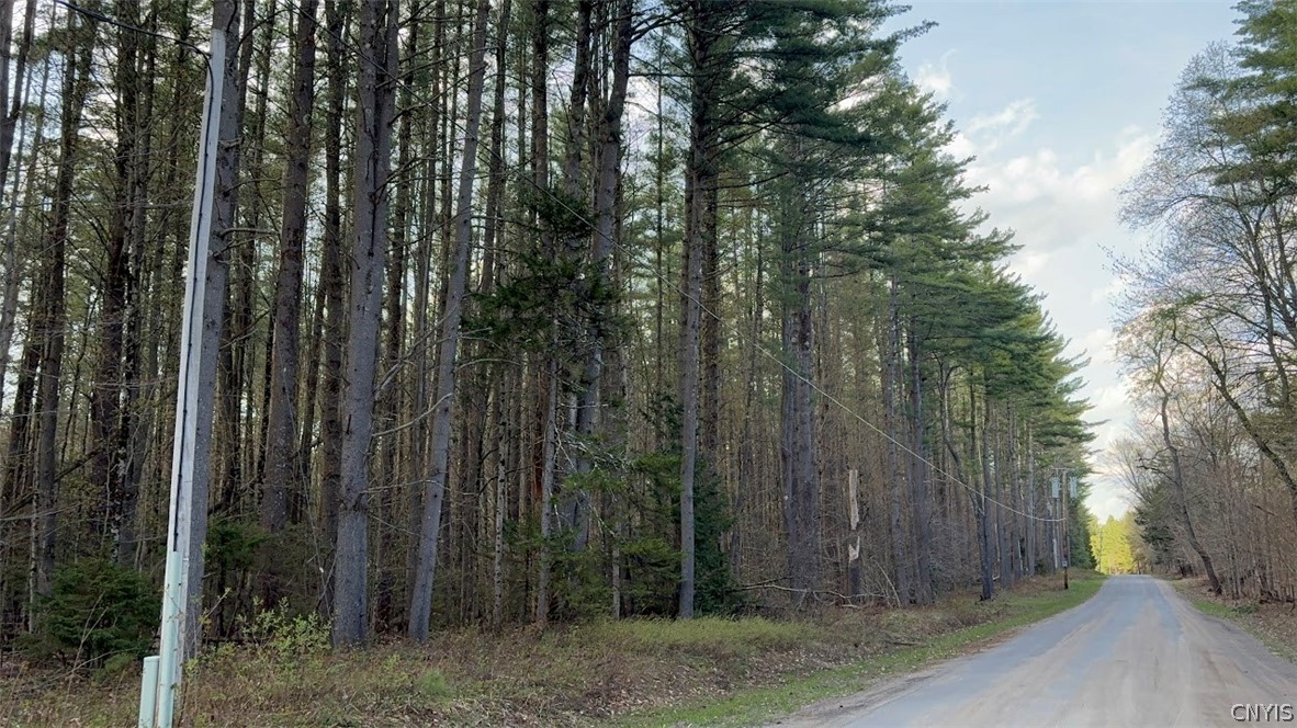 Hill Road Cold Brook, NY 13324 - Photo 2 of 7