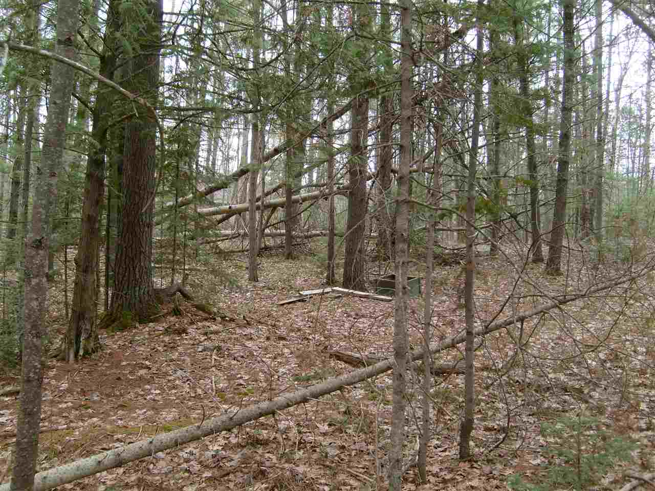 2151 West Log Lake Road Kalkaska, MI 49646 - Photo 48 of 53 1846708-47.JPG