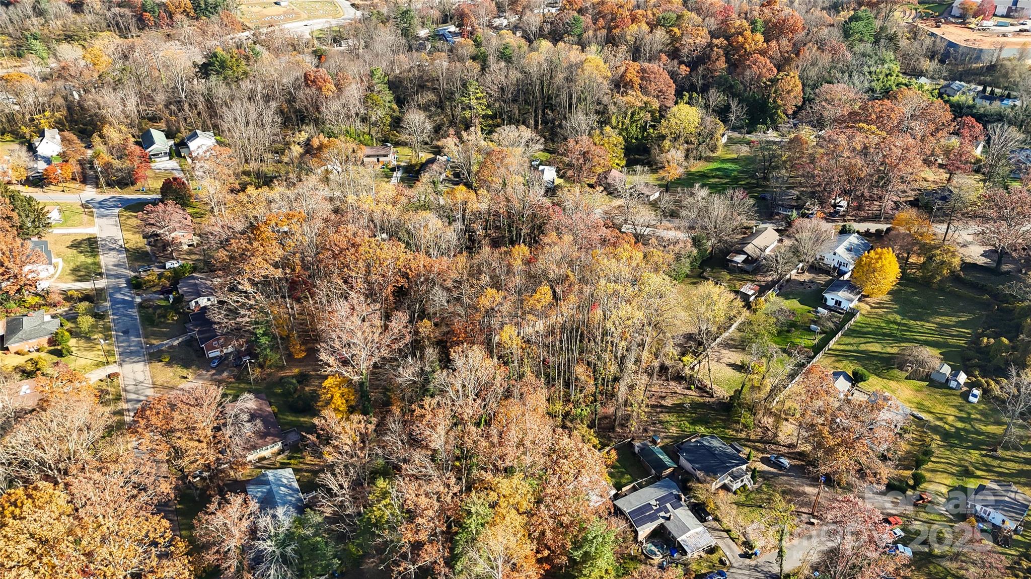 99999 Caribou Road Asheville, NC 28803 - Photo 5 of 8 a view of a tree