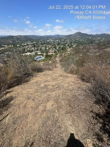 a view of a dry yard