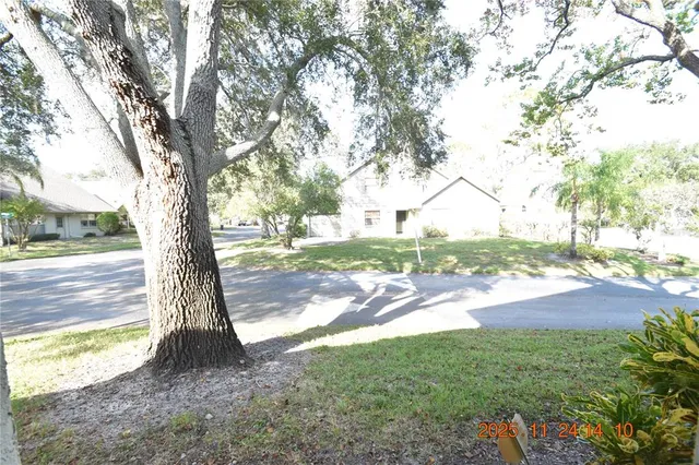 a view of a yard with plants and trees
