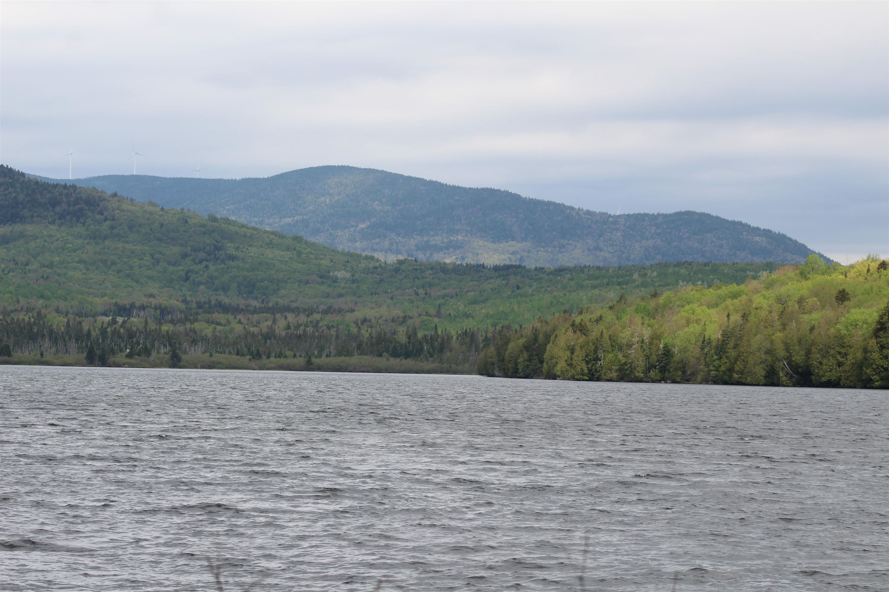 49 Pond Outlet Road Errol, NH 03579 - Photo 31 of 52