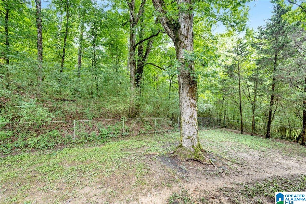 7257 Roper Road Trussville, AL 35173 - Photo 22 of 25