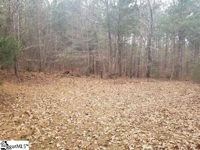 Ekom Beach Road Ware Shoals, SC 29692 - Photo 4 of 10