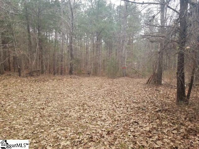 Ekom Beach Road Ware Shoals, SC 29692 - Photo 5 of 10