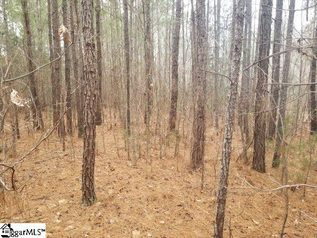 Ekom Beach Road Ware Shoals, SC 29692 - Photo 6 of 10