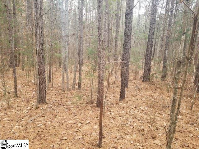 Ekom Beach Road Ware Shoals, SC 29692 - Photo 7 of 10