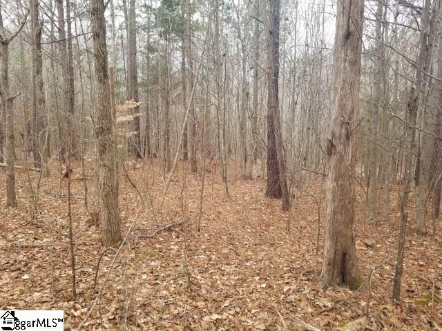 Ekom Beach Road Ware Shoals, SC 29692 - Photo 8 of 10