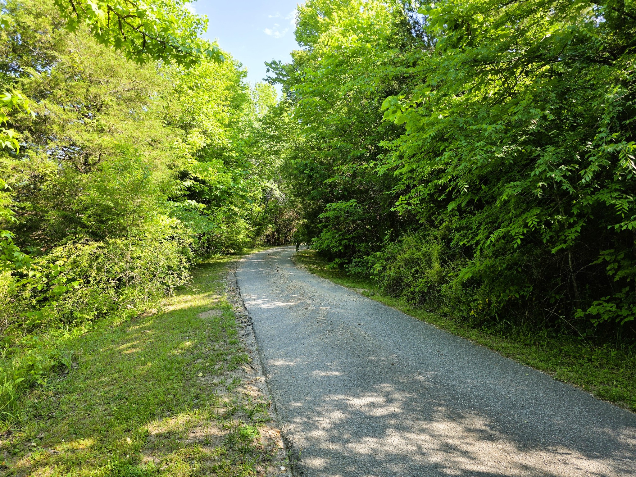 1975 Kelly Road Holladay, TN 38341 - Photo 89 of 95