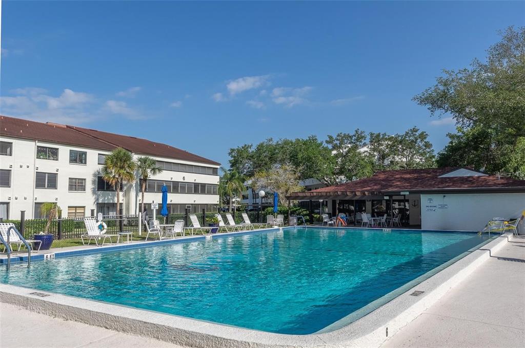 2579 Countryside Boulevard, Unit 203 Clearwater, FL 33761 - Photo 6 of 37 a view of swimming pool with outdoor seating and plants