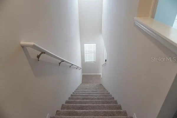 $2,500 | 4666 Stargazer Court, Palm Harbor, FL 34683