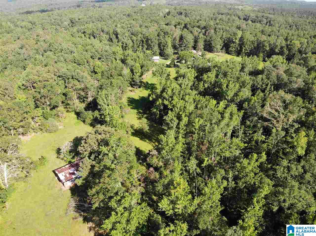 0 Antler Loop Rockford, AL 35136 - Photo 4 of 12