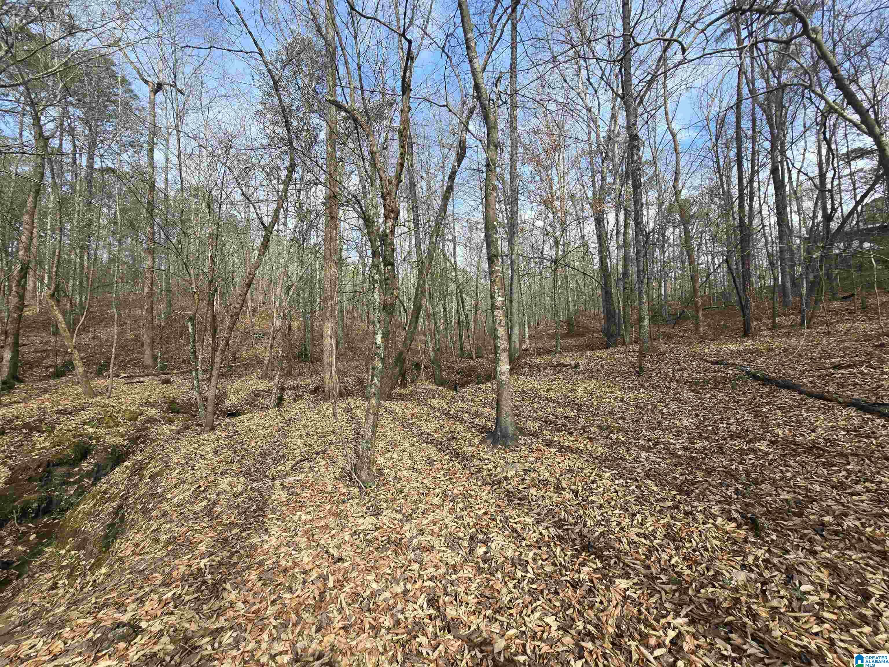 354 Springwell Road Rockford, AL 35136 - Photo 14 of 68