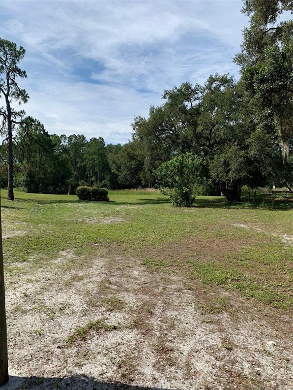 3544 East Withlacoochee Trail Dunnellon, FL 34434 - Photo 27 of 53 a view of a field with an trees in the background