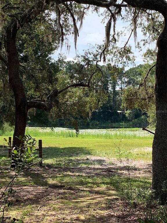 3544 East Withlacoochee Trail Dunnellon, FL 34434 - Photo 34 of 53 a view of a yard with a tree